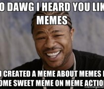 Xzibit Meme Reaction